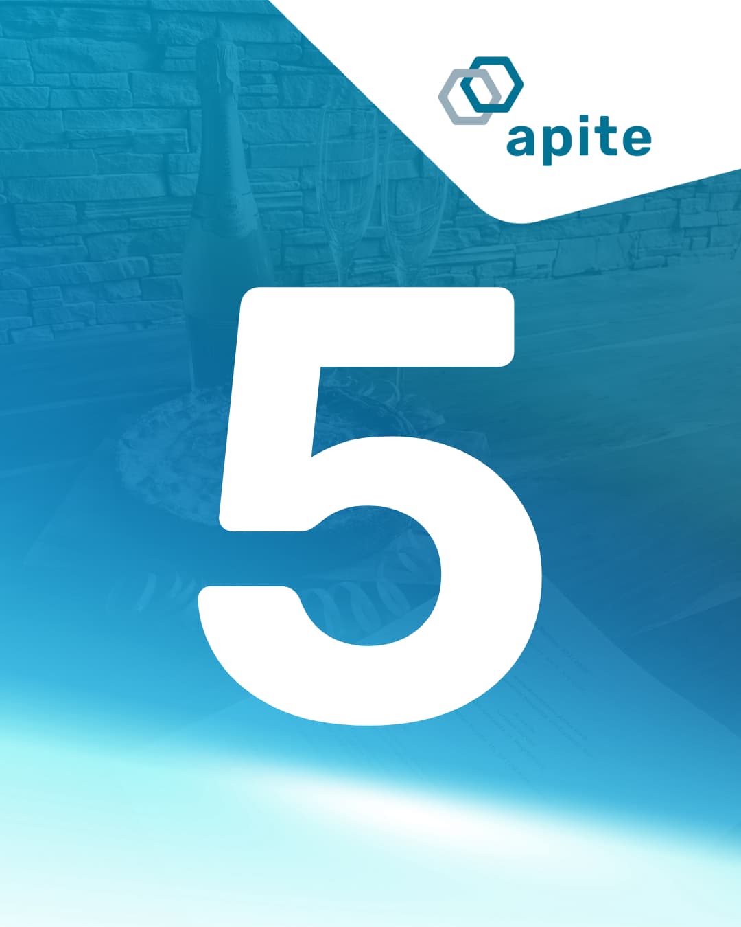 🎉 5 Jahre Apite GmbH – was für eine Reise!